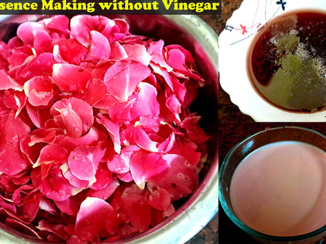 Chilled Rose Milk with Fresh Fragrant Rose Petals | Sip of Spring: Rose Milk with Velvet Petals