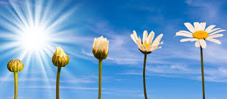 Believing in Instant Emotional Change = Instant Disappointment