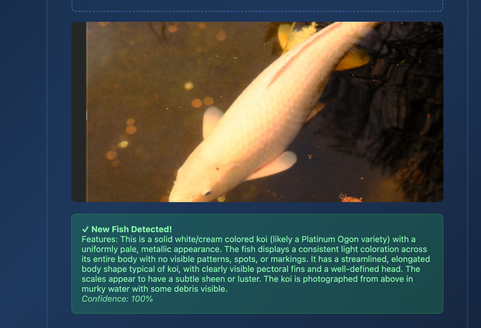 Successful Analysis using Anthropic API