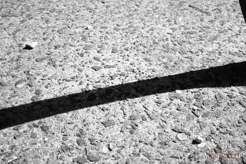 Shadow.
Image by David Turner - Protected by Copyright Law - All Rights Reserved