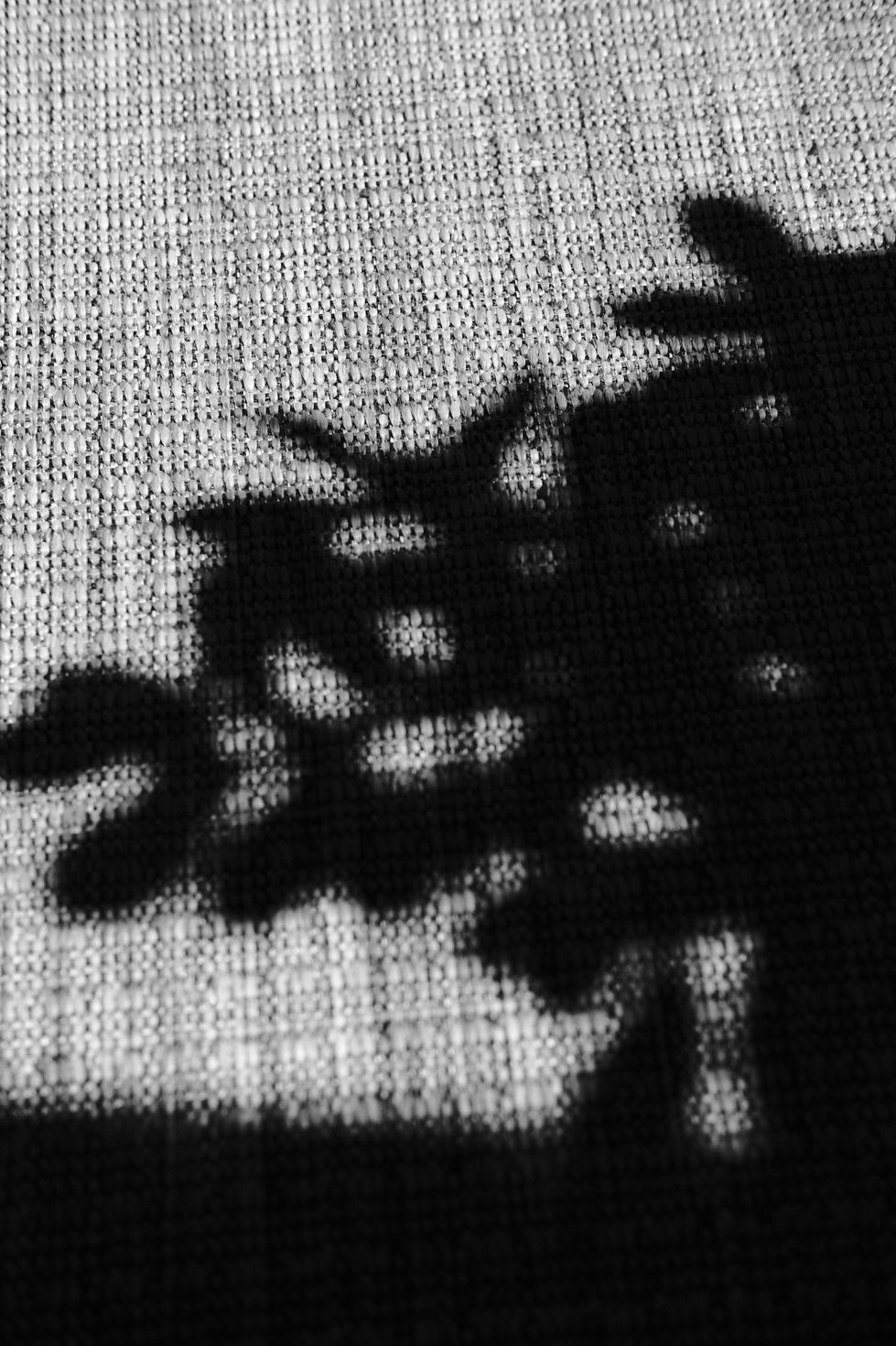 Shadow