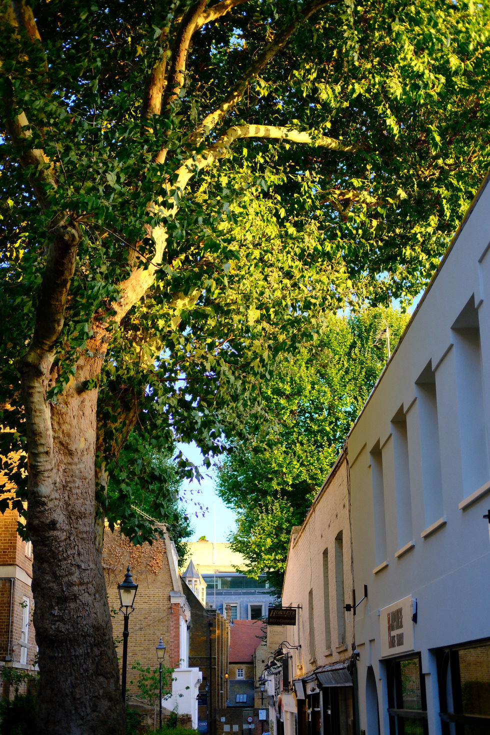 Kensington Church Walk