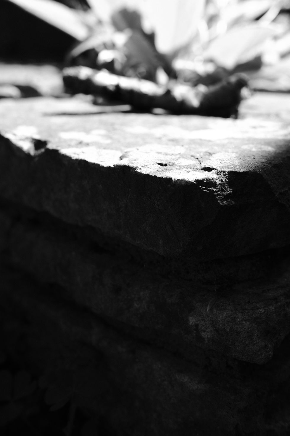 Shadow
