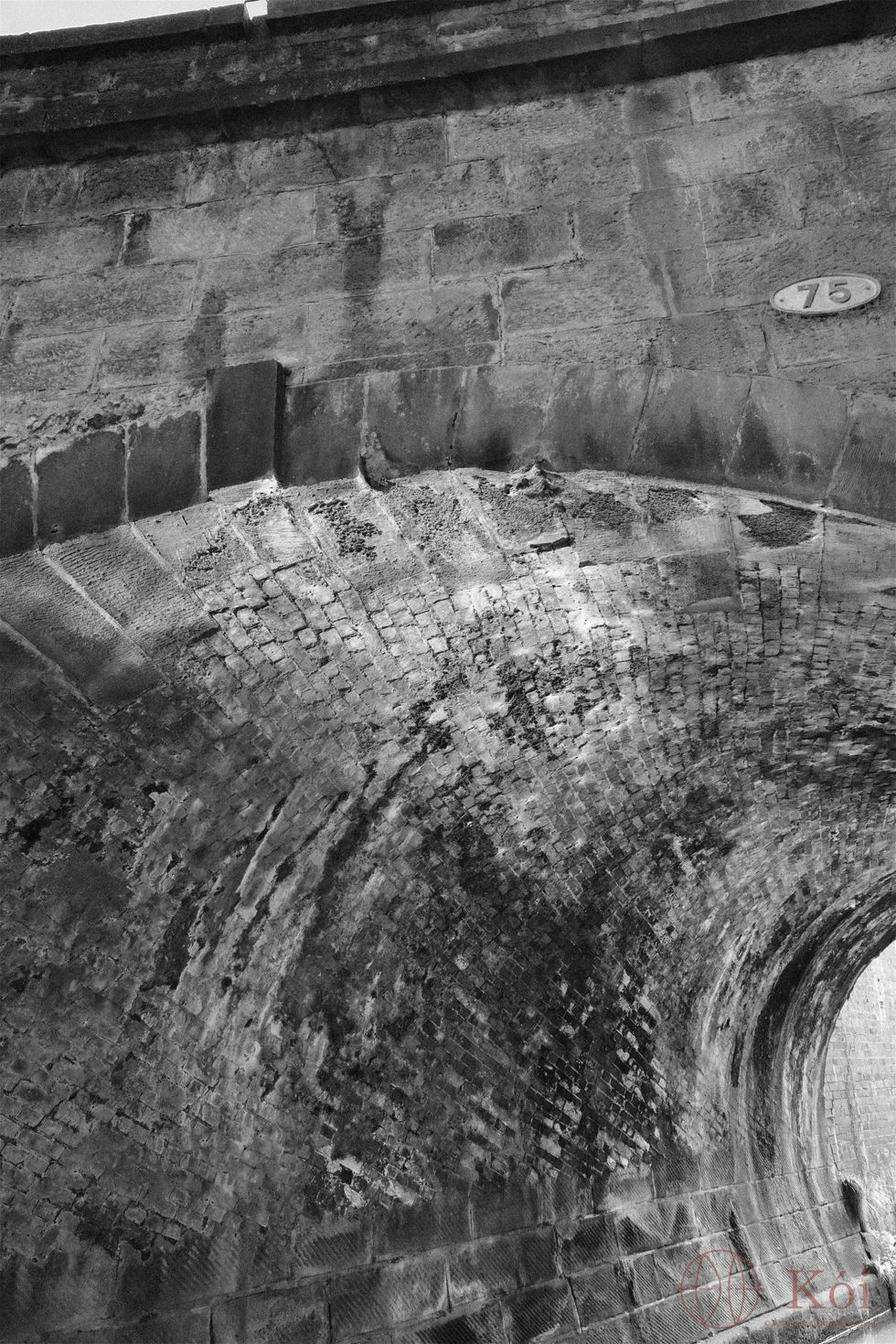 Black and white photograph of the underside of an arched brick canal bridge.
Image by David Turner - Protected by Copyright Law - All Rights Reserved