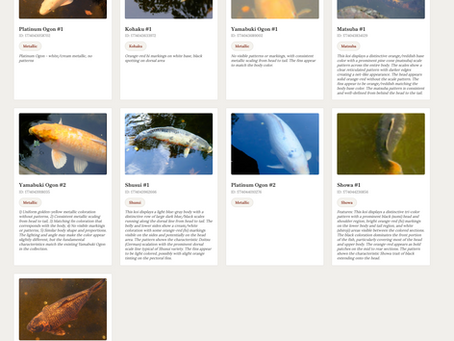 Koi collection page