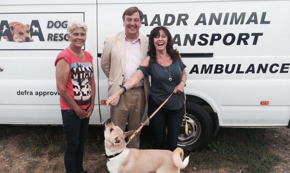 AA Dog Rescue