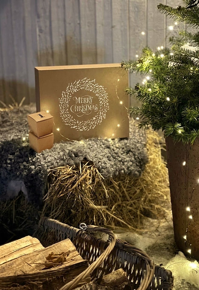 Julkalender Mitt Blomster.jpg
