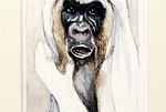 Song of Songs (Jewish bride), 2020