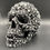 Thumbnail: Skull of Skulls