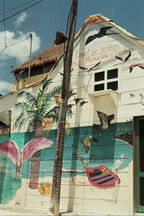 Photo prise durant un voyage à Holbox, Mexique