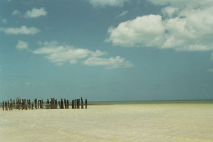 Photo prise durant un voyage à Holbox, Mexique