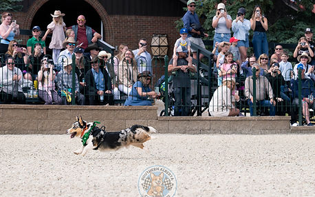 Corgi Racing for Pam 2-8.JPG