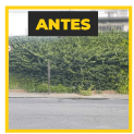 Rua Francisco Tapajós sem sinalização antes - Camilo Cristófaro.gif