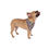 Thumbnail: Colorful Snowmen Pet Bandana | Holiday Dog Accessory for Christmas Celebrations