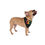 Thumbnail: My Ho Ho Ho Era (Black) Pet Bandana | Holiday Dog Accessory for Christmas