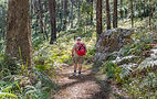 Hiker with red backpack on a forest trail