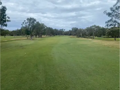 Healthy fairway turf at Mt Coolum Golf Club on Queensland's Sunshine Coast.