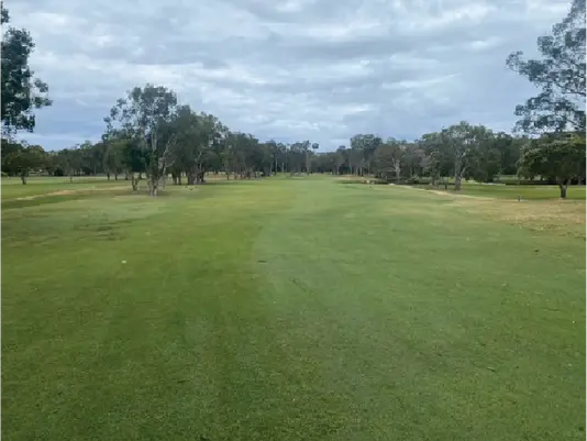 Healthy fairway turf at Mt Coolum Golf Club on Queensland's Sunshine Coast.