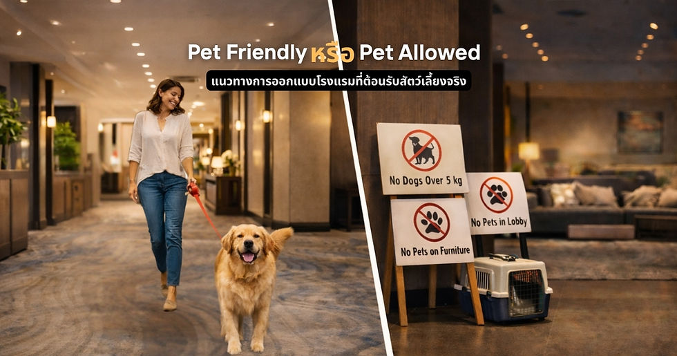 Pet Friendly หรือ Pet Allowed: แนวทางออกแบบโรงแรมที่ต้อนรับสัตว์เลี้ยงจริง