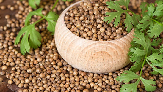 Coriander Seeds - Whole, Organic