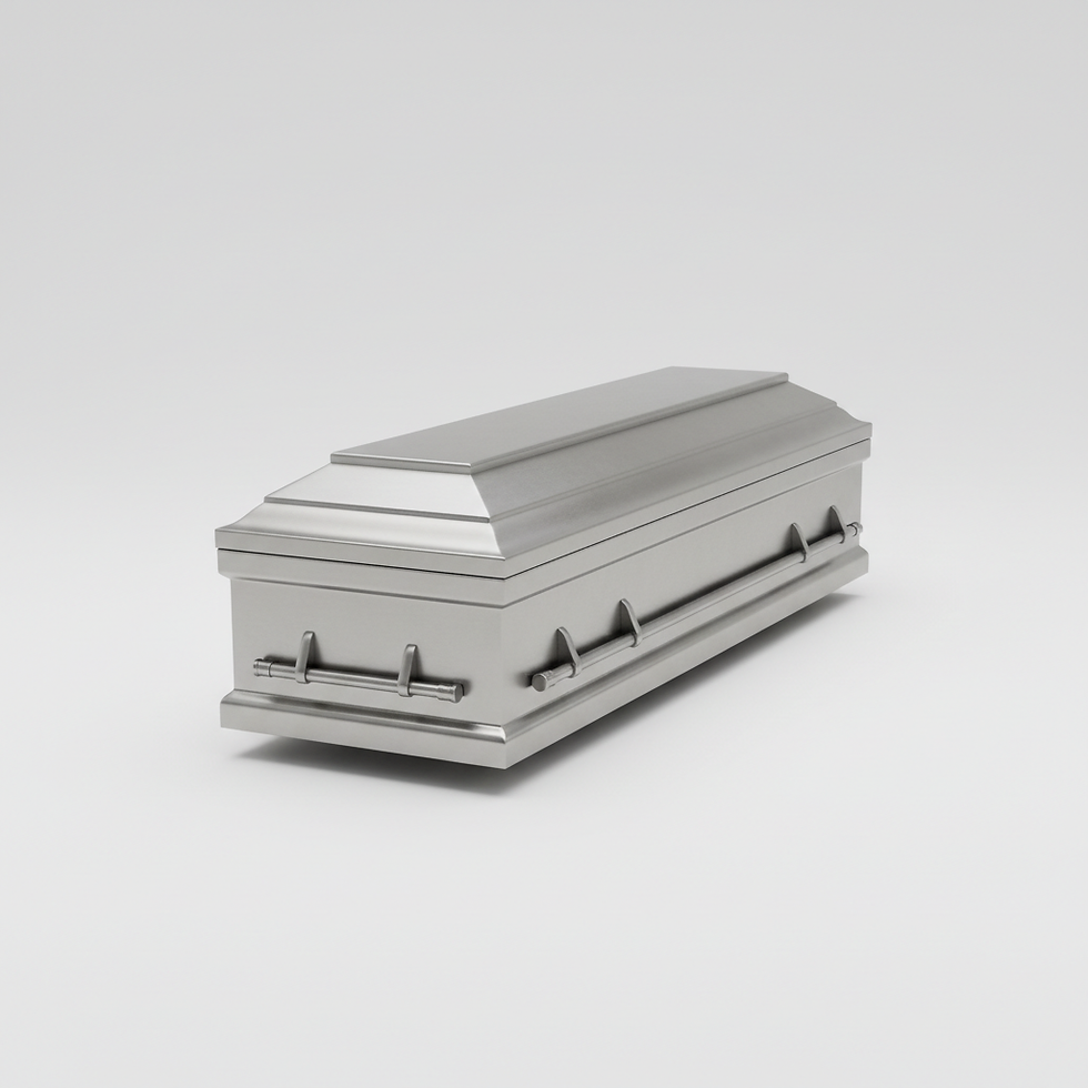 Brushed Steel Casket