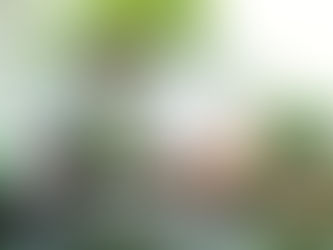 探索玄學師傅的智慧：如何通過風水和命理改善你的生活