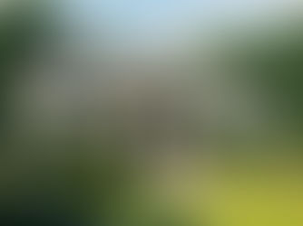 揭开豪宅风水标准的秘密：如何选择理想住宅