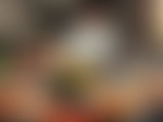 馬師傅的獨特料理秘訣：如何在家輕鬆重現經典潮州菜