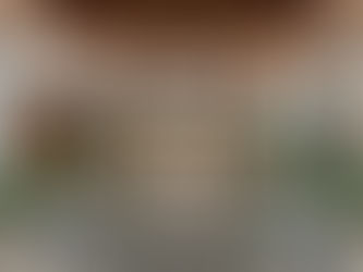 豪宅風水揭秘：如何選擇最適合你的豪宅風水布局