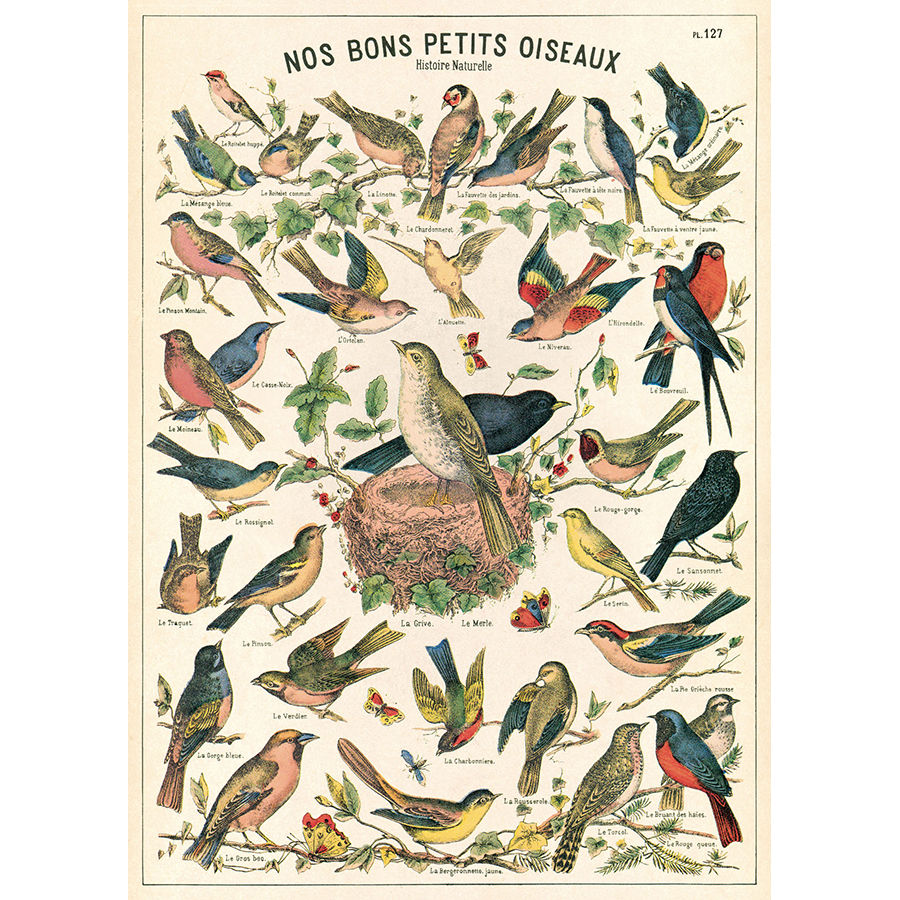 Birds Vintage Style Poster