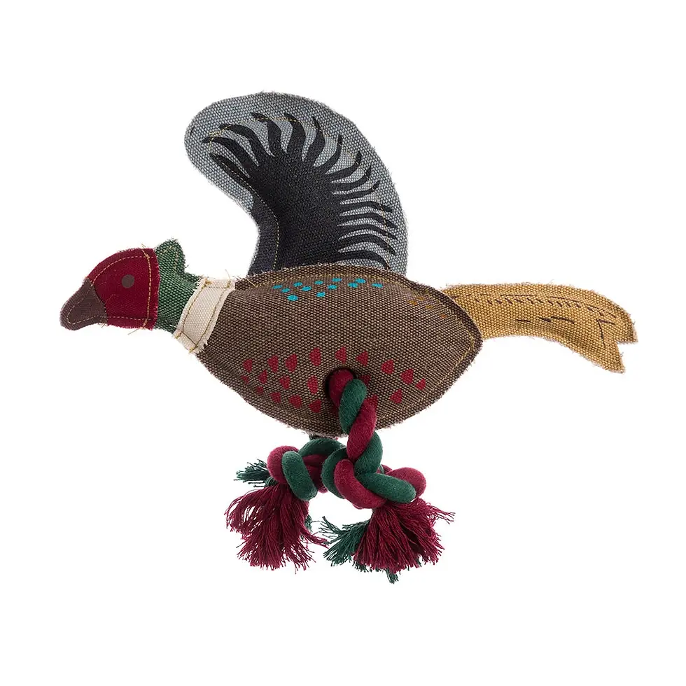 Thumbnail: Dog Toys