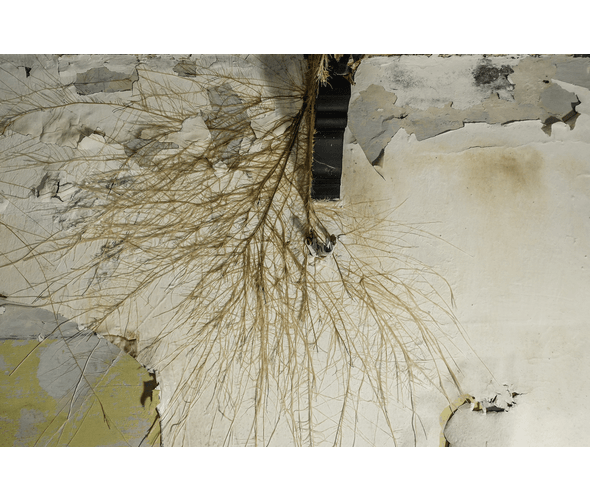 1c02 Procesos cuadro.gif