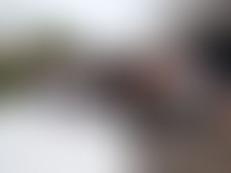 Visita al Parque de bomberos de los alumnos de primer ciclo