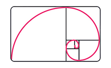 a-1628064004356-2x_edited.png