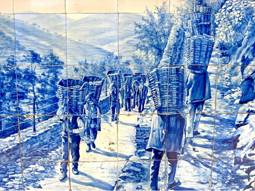 Why you should visit Portugal in 2020? Port wine - history and curiosities