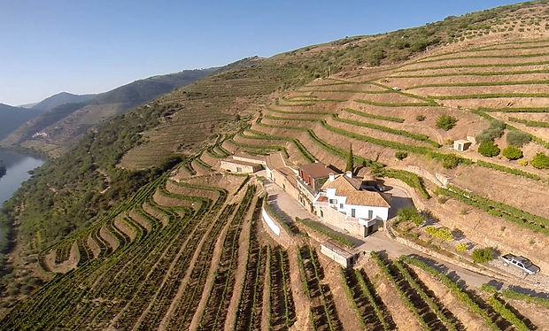 QUINTA DO JAVALI AEREAL PHOTO WINE ADORE