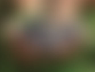 Learn what chemicals are used in your wine. 10x Reasons to Drink natural and organic wines.