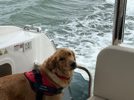 Predicted log and Deception Pass