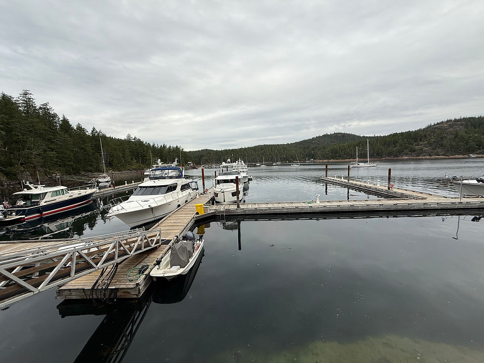 Blue Span on left side, Magic Carpet on right side of pier. Seattle Yacht Club Cortes Bay Outstation.