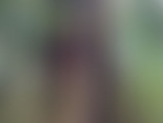 Lagoon Cove to Johnstone Strait to Blind Channel Resort