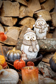 Sfeerfoto van herfstdecoratie en beeldjes van uiltjes voor houten blokken.