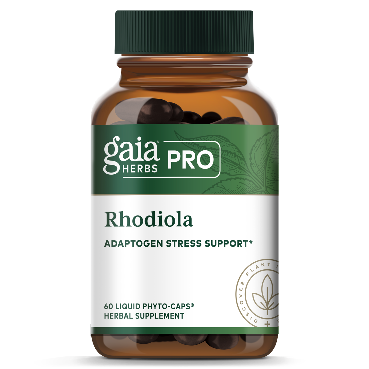 Rhodiola - 60 ct