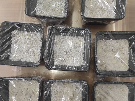 Inoculated seeds