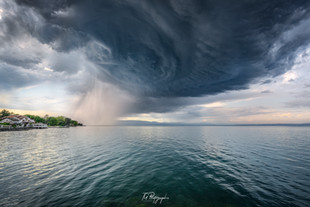 Arcus