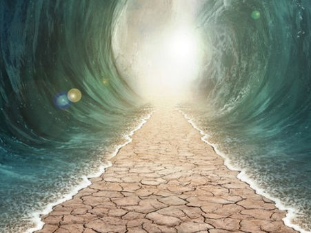 Le mythe de la séance miracle ou comment optimiser sa venue chez un praticien ?