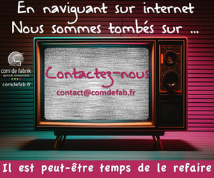 En naviguant sur internet, Nous sommes tombés sur … Tome1