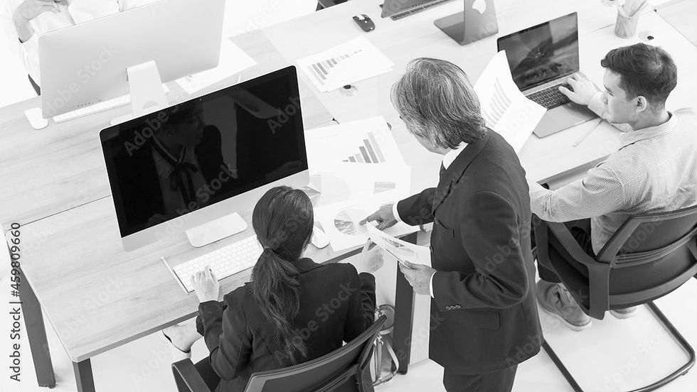 sigot expertise & conseil