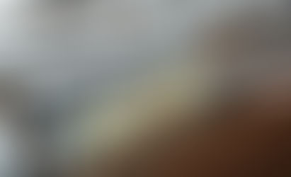 Salaires ou remboursement de frais professionnels ?