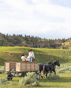 cow camp edited-64.jpg