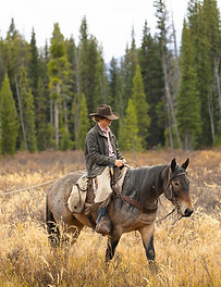 Cadillac (2022 Draft Cross Mare)-50.jpg